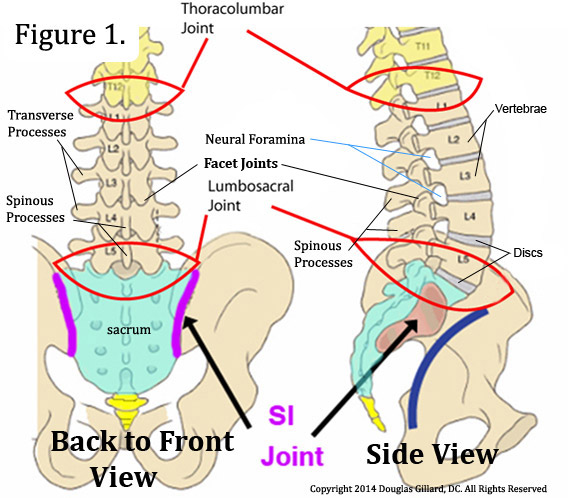 LWS Diagramm